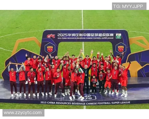 武汉足球队实力强劲荣登最新足球实力TOP10榜首