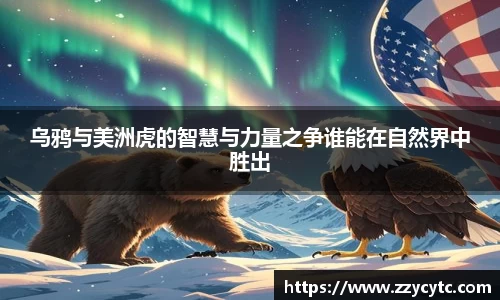 金年会