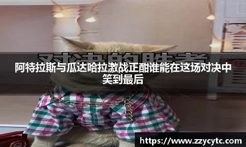 金年会